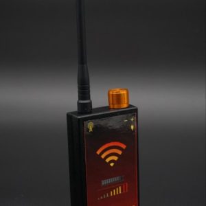 Portable Bug Detector